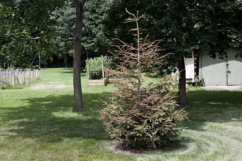 content_img.9112.img.jpg