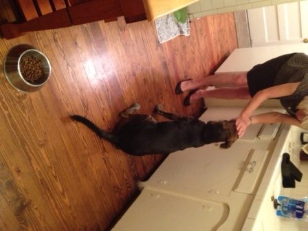 content_img.9123.img.jpg