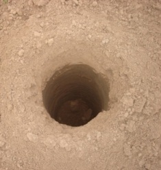 content_img.9315.img.jpg