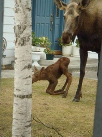 content_img.9337.img.jpg