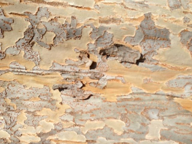 content_img.9614.img.jpg
