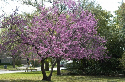 content_img.976.img.jpg