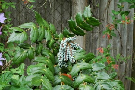 content_img.9823.img.jpg