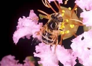 content_img.9876.img.jpg