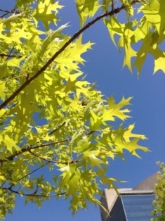 content_img.9909.img.jpg