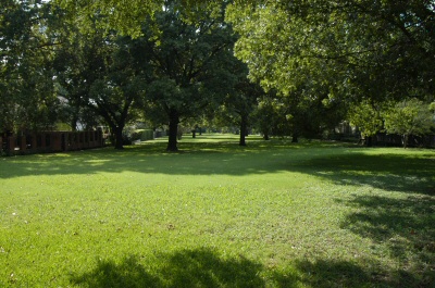Organic Landscaping