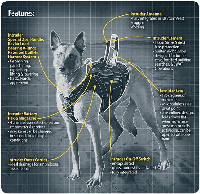 K9-Storm