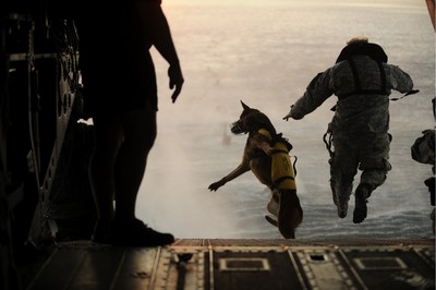 wardog jump