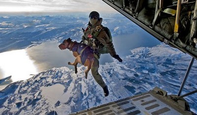 wardog jump