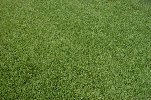 photo_item.111.img.jpg