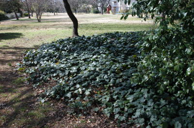 photo_item.155.img.jpg