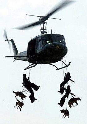 record jump