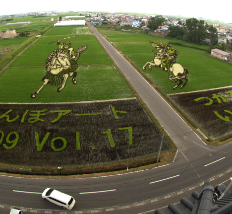 Rice paddy art, Japan --