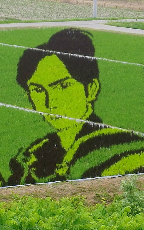 Rice paddy art, Japan --