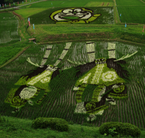 Rice paddy art, Japan --
