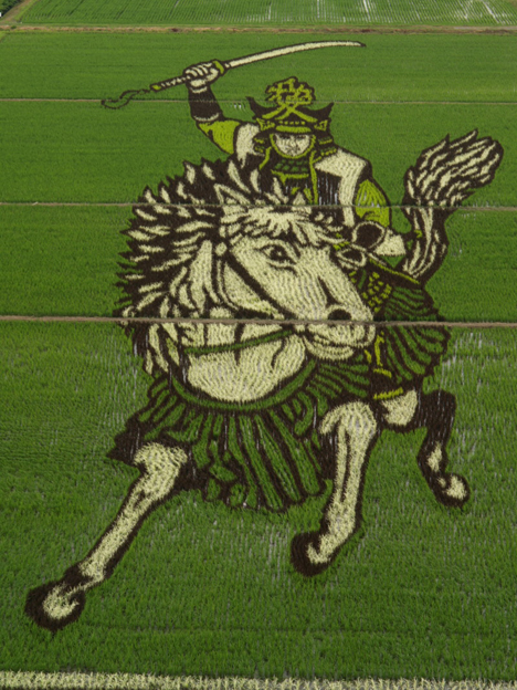 Rice paddy art, Japan --